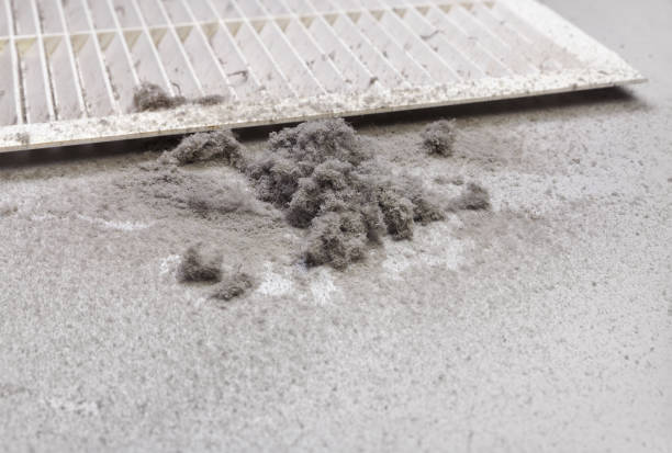Best HVAC Duct Inspection Services  in Elwood, IL